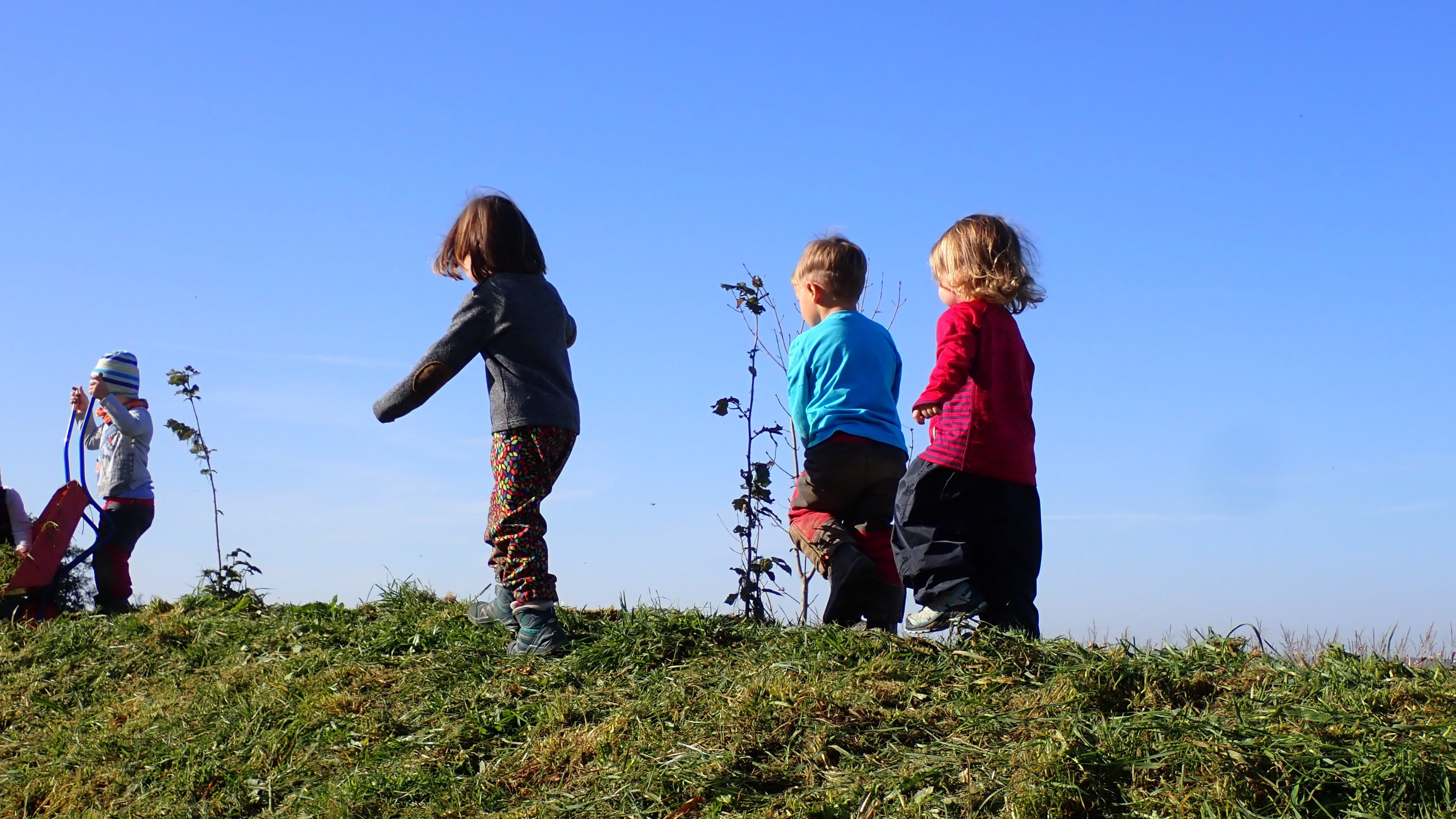Kinder auf grüner Wiese vor blauem Himmel pflanzen kleine Bäumchen
